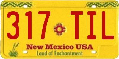 NM license plate 317TIL