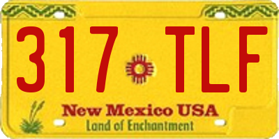 NM license plate 317TLF