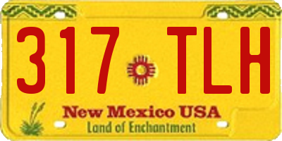 NM license plate 317TLH