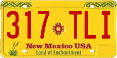 NM license plate 317TLI