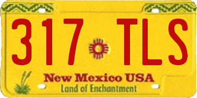 NM license plate 317TLS