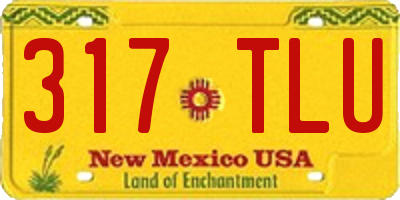 NM license plate 317TLU