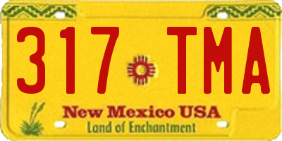 NM license plate 317TMA