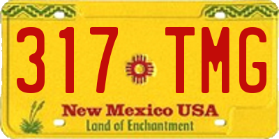 NM license plate 317TMG