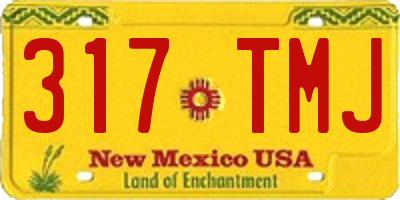 NM license plate 317TMJ