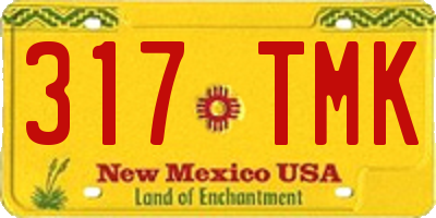 NM license plate 317TMK