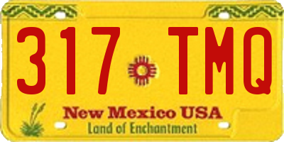 NM license plate 317TMQ