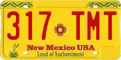NM license plate 317TMT