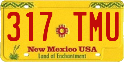 NM license plate 317TMU