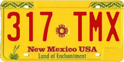 NM license plate 317TMX