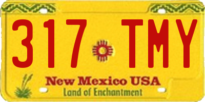 NM license plate 317TMY