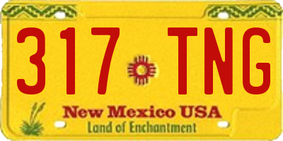 NM license plate 317TNG