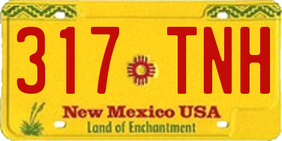 NM license plate 317TNH