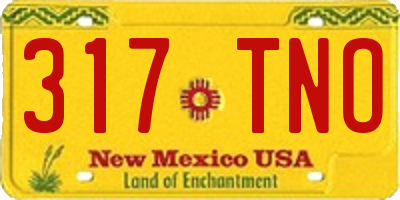 NM license plate 317TNO