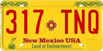 NM license plate 317TNQ