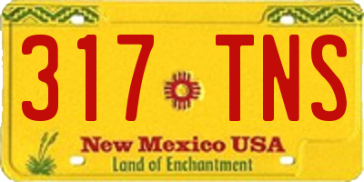 NM license plate 317TNS