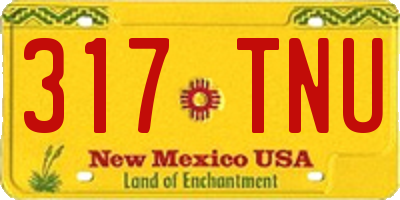 NM license plate 317TNU