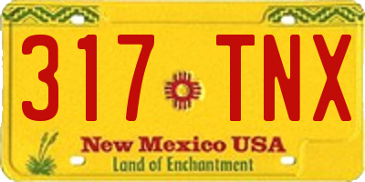 NM license plate 317TNX