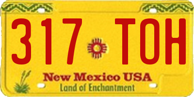 NM license plate 317TOH