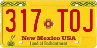 NM license plate 317TOJ