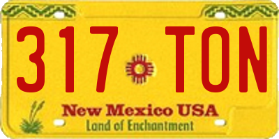 NM license plate 317TON