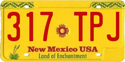 NM license plate 317TPJ