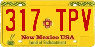 NM license plate 317TPV