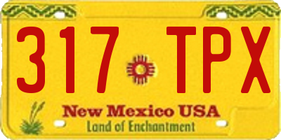 NM license plate 317TPX