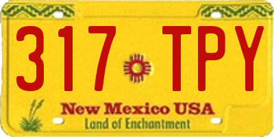 NM license plate 317TPY