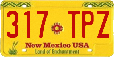 NM license plate 317TPZ
