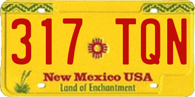 NM license plate 317TQN