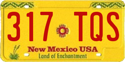 NM license plate 317TQS