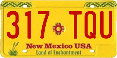 NM license plate 317TQU
