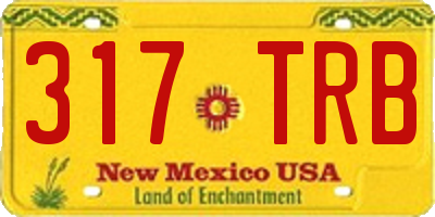 NM license plate 317TRB