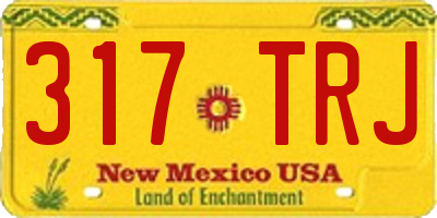 NM license plate 317TRJ