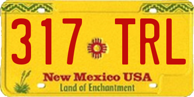 NM license plate 317TRL