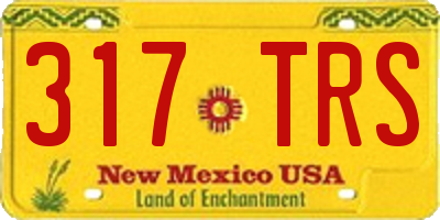 NM license plate 317TRS