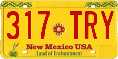 NM license plate 317TRY