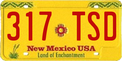 NM license plate 317TSD