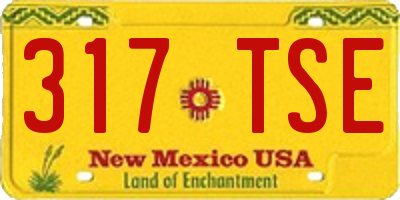 NM license plate 317TSE