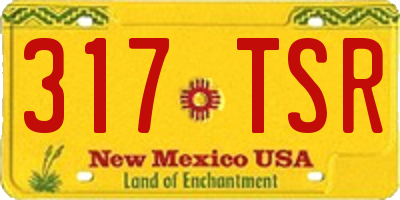 NM license plate 317TSR