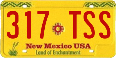 NM license plate 317TSS