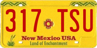 NM license plate 317TSU