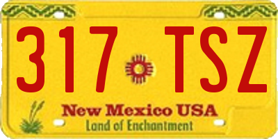 NM license plate 317TSZ