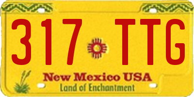 NM license plate 317TTG