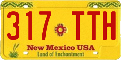 NM license plate 317TTH