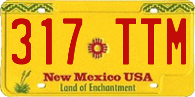 NM license plate 317TTM