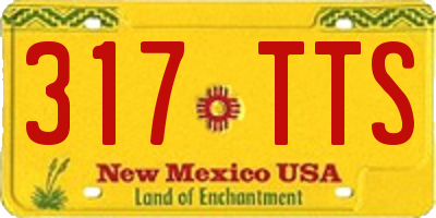 NM license plate 317TTS