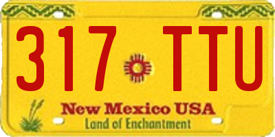 NM license plate 317TTU