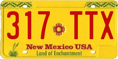 NM license plate 317TTX